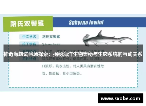 神奇海螺试验场探索：揭秘海洋生物奥秘与生态系统的互动关系