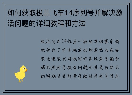如何获取极品飞车14序列号并解决激活问题的详细教程和方法