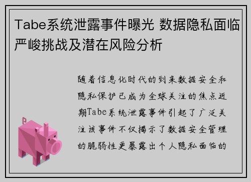 Tabe系统泄露事件曝光 数据隐私面临严峻挑战及潜在风险分析