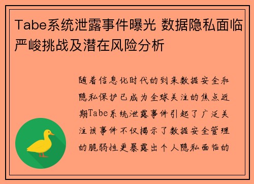 Tabe系统泄露事件曝光 数据隐私面临严峻挑战及潜在风险分析